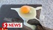 Watch egg freeze within seconds as northern Chinese city hits coldest temperatures on record