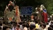 Decorated elephants parading during the Rath Yatra procession in Puri