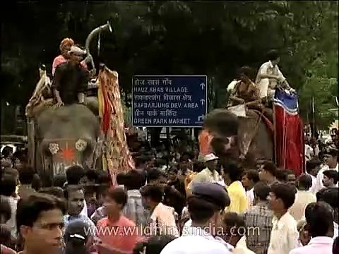 Decorated elephants parading during the Rath Yatra procession in Puri