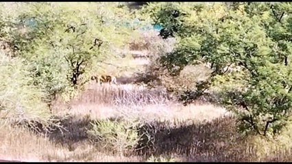 MAHTR NEWS :  मुकुन्दरा में कुछ नया होने वाला है , जल्द मिलेगी खुशखबर