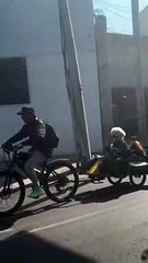 Motorcycle Riding Doggo