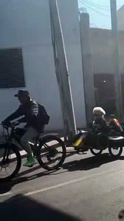 Motorcycle Riding Doggo
