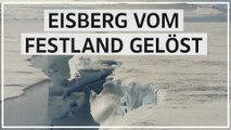 Riesiger Eisberg löst sich in der Antarktis vom Festland