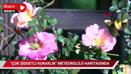 İzmir'de 'çok şiddetli kuraklık' meteoroloji haritasında