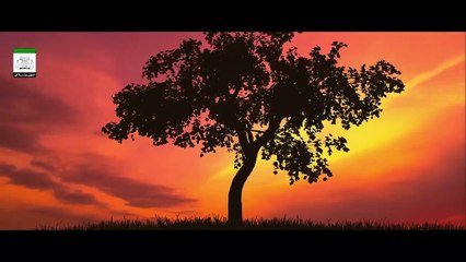 Why is Depression more common in intelligent people-- How Depression affects Brain - Dr Israr Ahmed