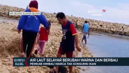 Air Laut Selayar Berubah Warna Dan Berbau