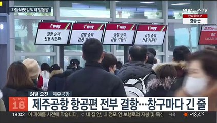 눈보라 몰아친 제주공항 '올스톱'…4만여명 발 묶여