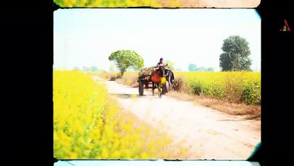 Desi Rahan Main (Official Video) - Bintu Pabra - Kp Kundu - Hukum Ka Ikka - New Haryanvi Song 2023