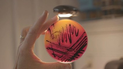 Enquête de santé - Intoxications alimentaires : menaces dans nos assiettes