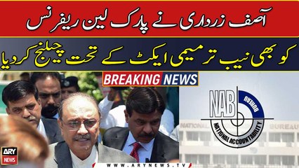 Asif Zardari challenges Park Lane reference under NAB Amendment Act