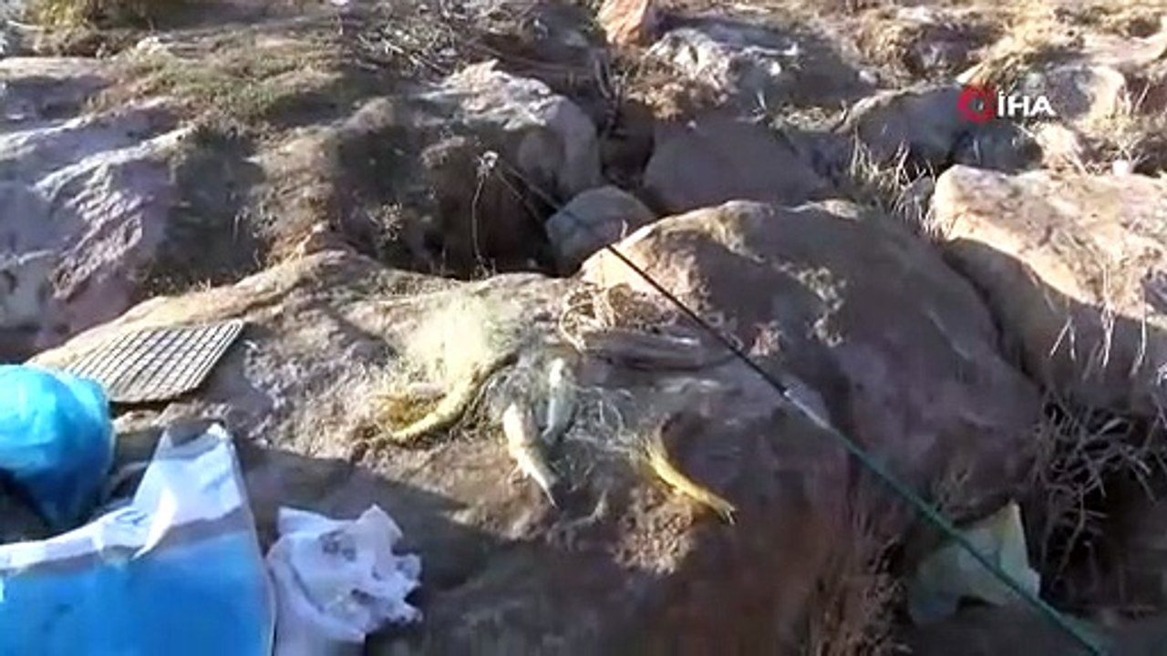 İklim krizi nelere yol açacak? Balıkları böyle tutmaya başladılar