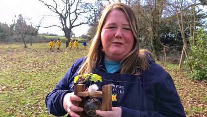 Itchenor Montessori have grown an oak sapling from an acorn collected from their listening tree