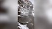 Hiker captures video of rare ice disk winter weather phenomenon