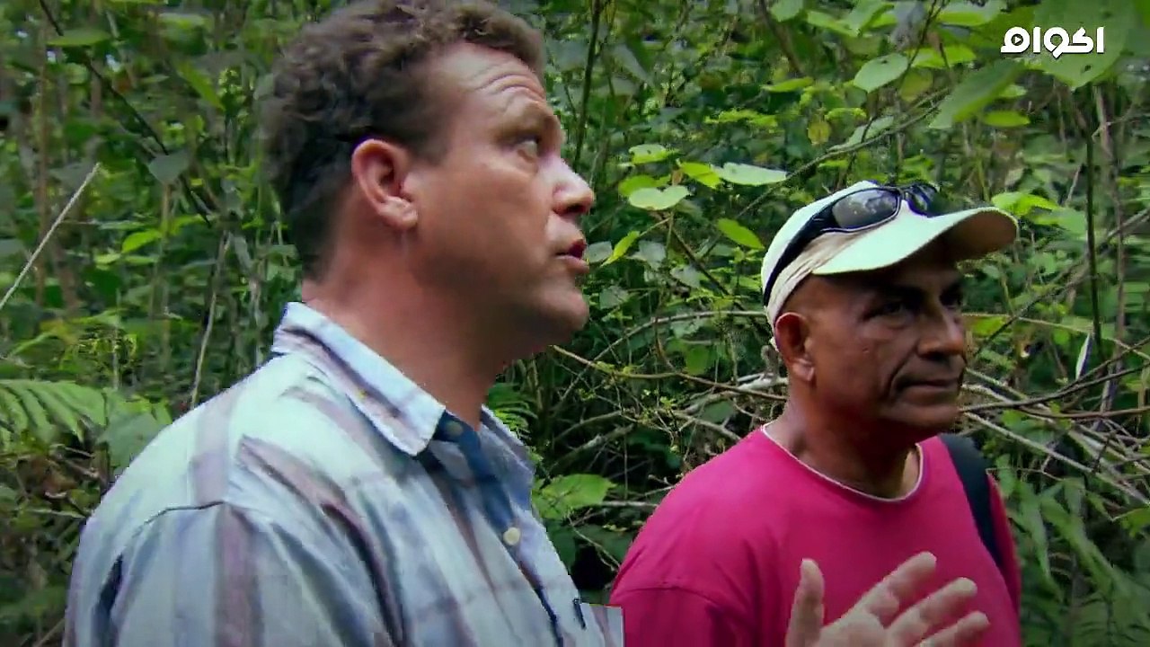 السلسلة الوثائقية ذهب أفريقيا حلقه 07