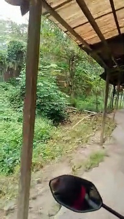 Trying to get home
