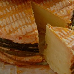 Top 10 des fromages qui puent