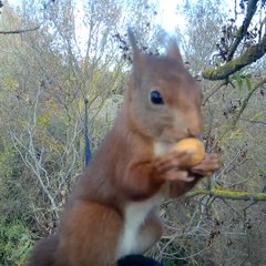 Avec son association, Lucie développe des solutions pour intégrer la biodiversité en milieu urbain