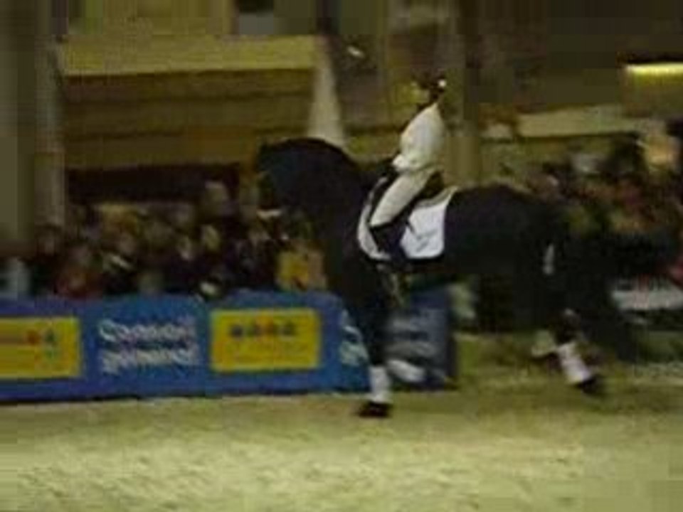 frisons salon du cheval 2007