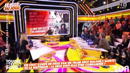 Chat écrasé par un train : la réaction des chroniqueurs de TPMP choque la Toile