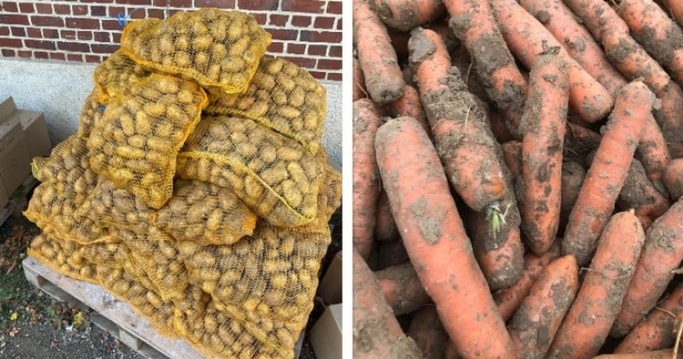 Oise : les supermarchés refusent ses légumes bio, cet agriculteur les vend 1 euro le kilo pour éviter le gaspillage