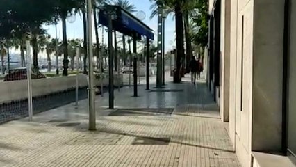 Las terrazas desaparecen de un Paseo Marítimo de Palma que estará dos años 'patas arriba'