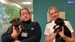 Litter of newborn pups who were found dumped in woodland in Sheffield survive against the odds and find loving new homes