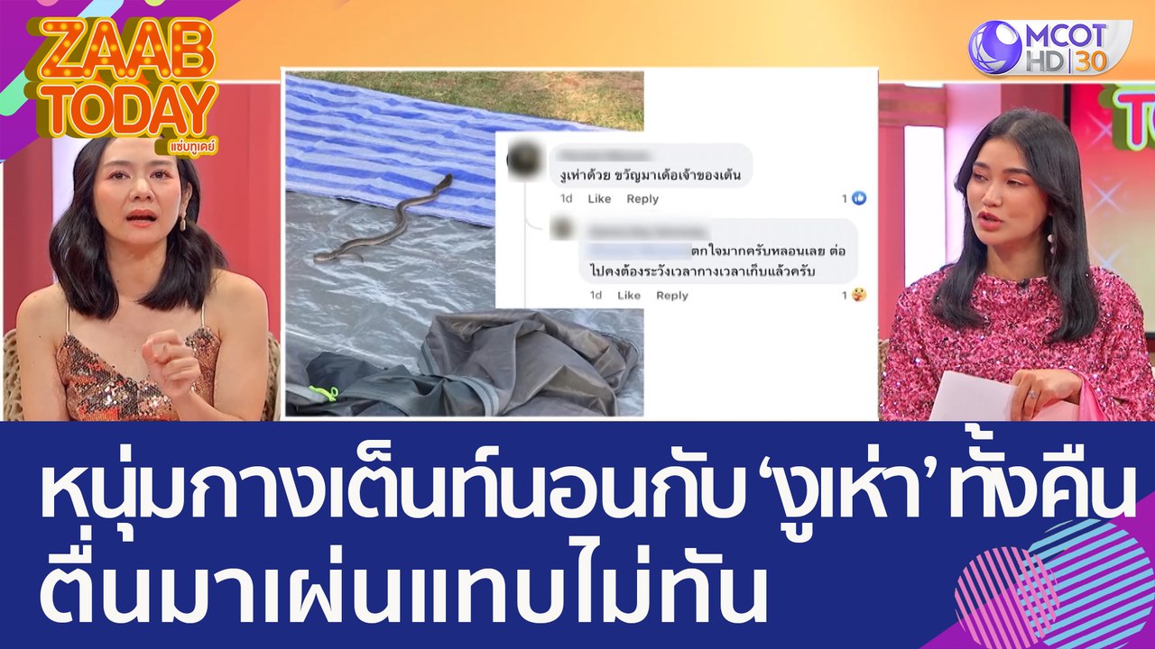 แทบช็อก! หนุ่มกางเต็นท์นอนกับ 'งูเห่า' ทั้งคืน...
