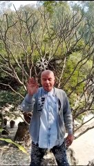 Planchette by Sunil Babbar