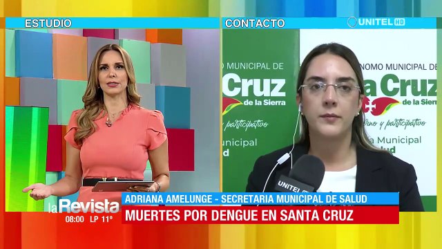 Dengue: No es necesaria la prueba, se debe iniciar tratamiento por síntomas, remarca Salud