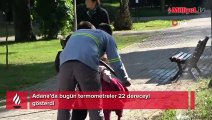 Adana’da termometreler 22 dereceyi gösterdi