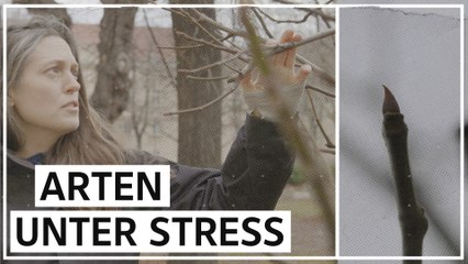 Wie höhere Temperaturen die Tier- und Pflanzenwelt verändern