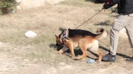 Kayıp ihbarı yapılan kadın için başlatılan arama çalışmaları sürüyor