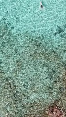 Si, si c'est bien en France ! - Corse