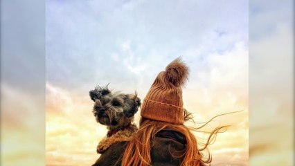 Five reasons why your pet is great for your wellbeing