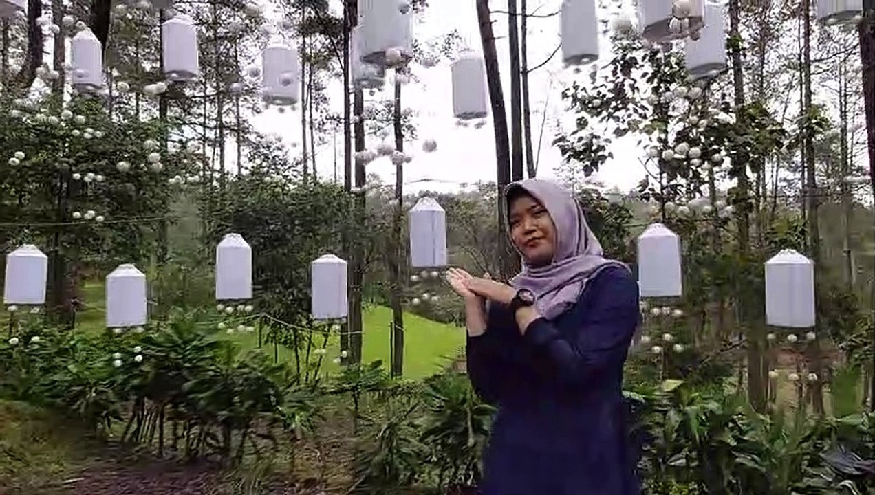 Forest  4