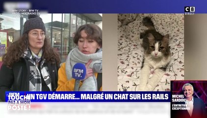 Zapping du 24/01 - Un chat coupé en deux sur des rails : Le TGV démarre malgré l'alerte de sa maîtresse
