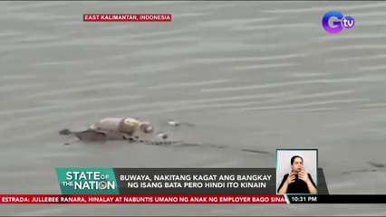 Buwaya, nakitang kagat ang bangkay ng isang bata pero hindi ito kinain | SONA