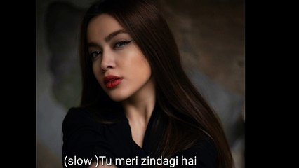 ( slow )Tu meri zindagi hai