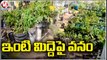 Teacher Farming 150 Varieties Of Plants In Organic Way On House Roof _ Nizamabad |  V6 News (1)