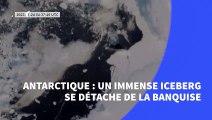 Antarctique: un immense iceberg se détache de la banquise