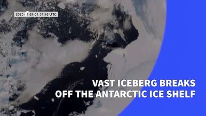 Antarctic: vast iceberg breaks off