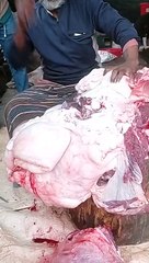 Cow meat cutting machine video // Beef video