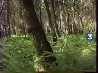 France 3 - 11 Novembre 2003 - Coming-next, teasers, pubs, début "La Case De L'Oncle Doc"