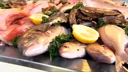 Something Special Mr Tumble Full Episode Food II