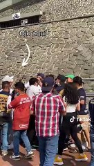 Novia de Toto Salvio furiosa contra los fans del jugador: "Vayansé"