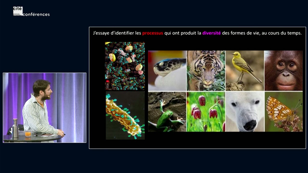 Des gènes aux super-organismes : les réseaux de l'évolution