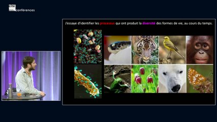 Des gènes aux super-organismes : les réseaux de l'évolution