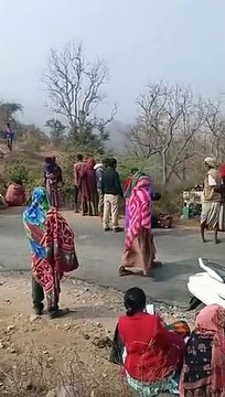 Accident due to fog, private bus full of passengers overturned in the ditch due to sudden braking