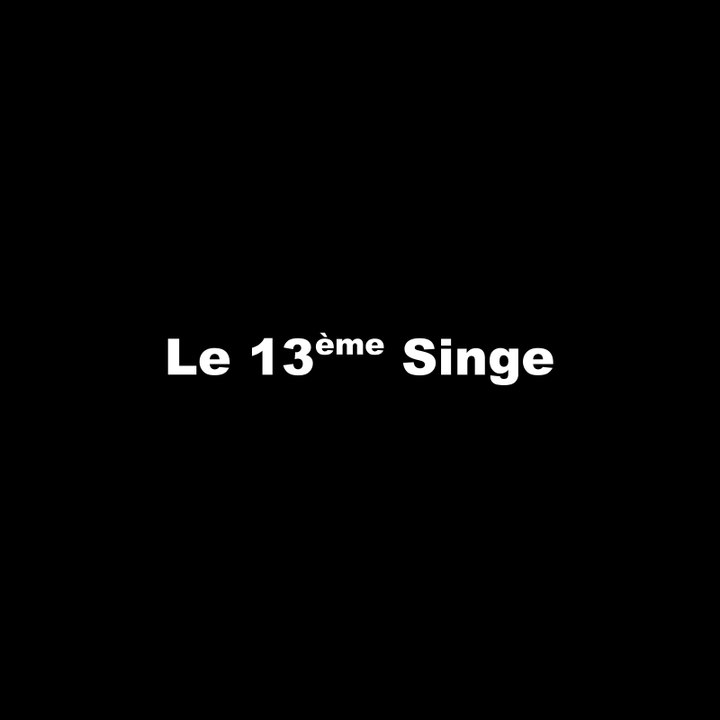 Le 13ème Singe