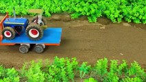 diy making mini plough machine planting field of turnips rainbow colors P7